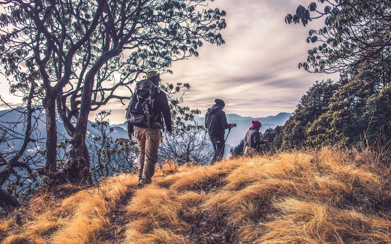 Discover the Best National Park Hiking Trails in Australia for an Unforgettable Experience
